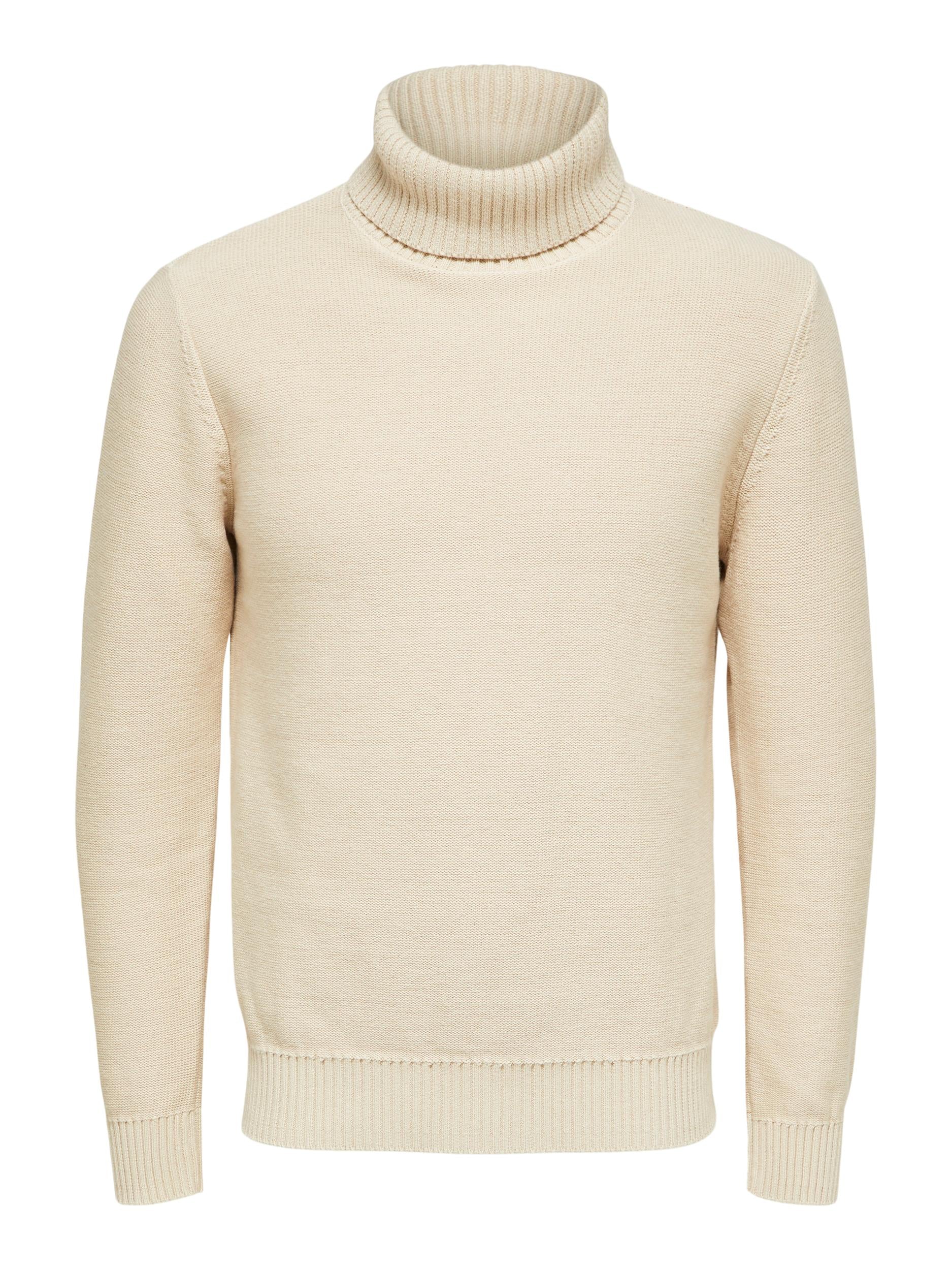 Axel Knit Roll Neck