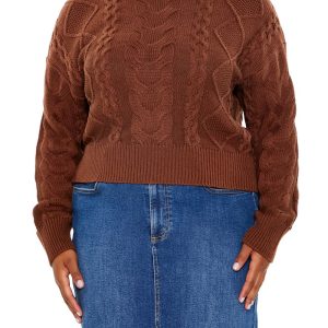 Plus Size Cable Knit Turtleneck Sweater